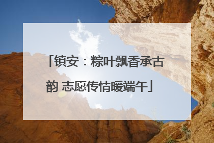 镇安：粽叶飘香承古韵 志愿传情暖端午