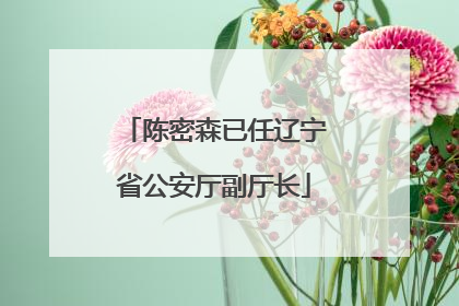 陈密森已任辽宁省公安厅副厅长