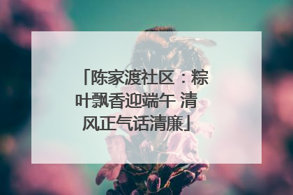 陈家渡社区：粽叶飘香迎端午 清风正气话清廉