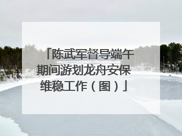 陈武军督导端午期间游划龙舟安保维稳工作（图）