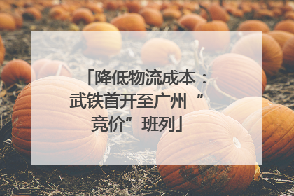 降低物流成本：武铁首开至广州“竞价”班列