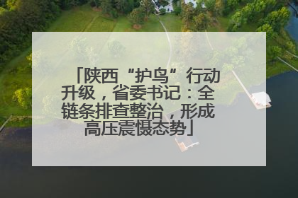 陕西“护鸟”行动升级，省委书记：全链条排查整治，形成高压震慑态势