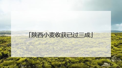 陕西小麦收获已过三成