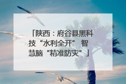 陕西：府谷县黑科技“水利全开” 智慧脑“精准防灾”