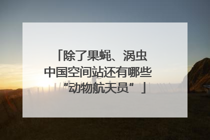 除了果蝇、涡虫 中国空间站还有哪些“动物航天员”
