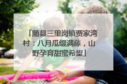随县三里岗镇贾家湾村：八月瓜缀满藤，山野孕育甜蜜希望