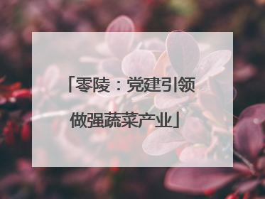 零陵：党建引领 做强蔬菜产业