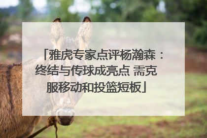 雅虎专家点评杨瀚森：终结与传球成亮点 需克服移动和投篮短板