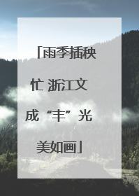 雨季插秧忙 浙江文成“丰”光美如画