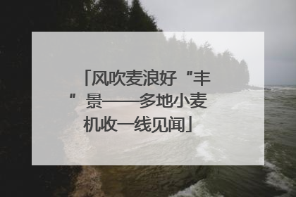 风吹麦浪好“丰”景——多地小麦机收一线见闻