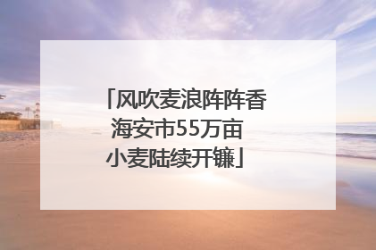 风吹麦浪阵阵香 海安市55万亩小麦陆续开镰