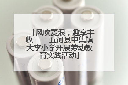 风吹麦浪，趣享丰收——五河县申集镇大李小学开展劳动教育实践活动