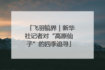 飞羽镜界｜新华社记者对“高原仙子”的四季追寻