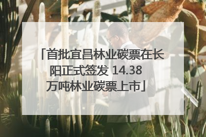 首批宜昌林业碳票在长阳正式签发 14.38万吨林业碳票上市