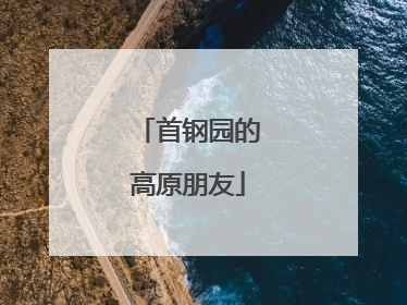 首钢园的高原朋友