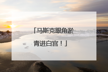 马斯克眼角淤青进白宫！