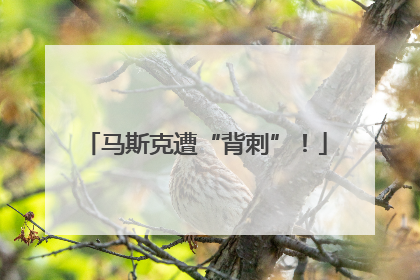马斯克遭“背刺”！