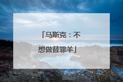 马斯克：不想做替罪羊