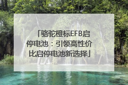 骆驼橙标EFB启停电池：引领高性价比启停电池新选择