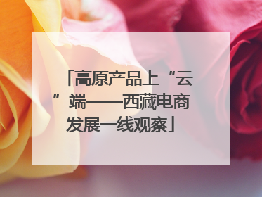 高原产品上“云”端——西藏电商发展一线观察