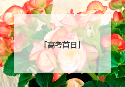 高考首日