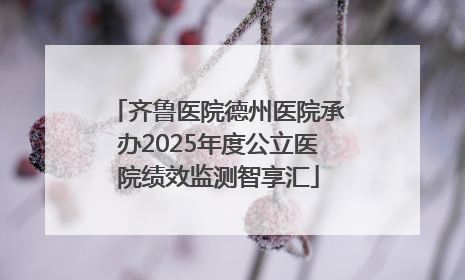 齐鲁医院德州医院承办2025年度公立医院绩效监测智享汇