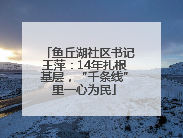 鱼丘湖社区书记王萍：14年扎根基层，“千条线”里一心为民
