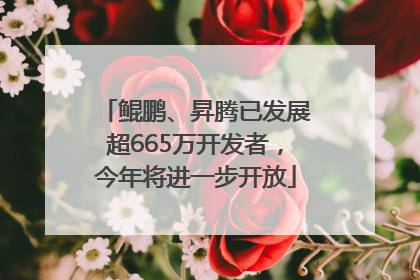 鲲鹏、昇腾已发展超665万开发者，今年将进一步开放