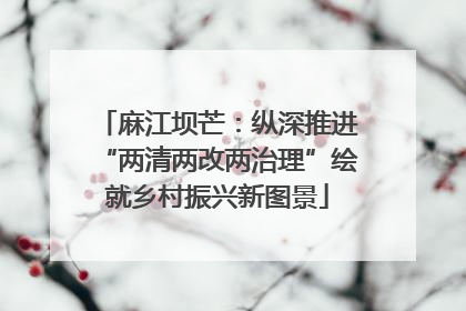 麻江坝芒：纵深推进“两清两改两治理”绘就乡村振兴新图景