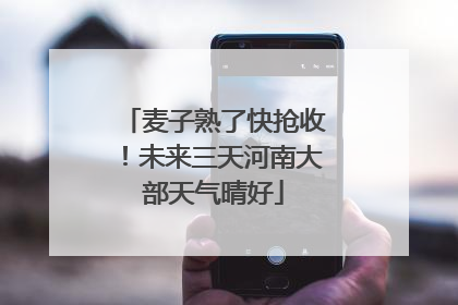 麦子熟了快抢收！未来三天河南大部天气晴好