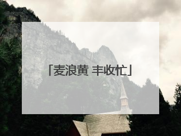 麦浪黄 丰收忙