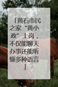 黄石市民之家“黄小政”上岗，不仅能聊天办事还能听懂多种语言
