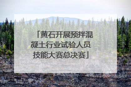 黄石开展预拌混凝土行业试验人员技能大赛总决赛