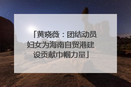 黄晓薇：团结动员妇女为海南自贸港建设贡献巾帼力量