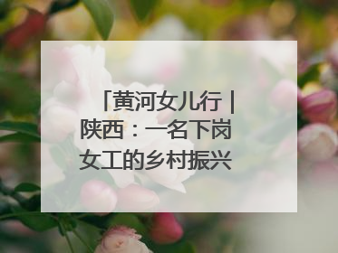 黄河女儿行｜陕西：一名下岗女工的乡村振兴“家政兵法”