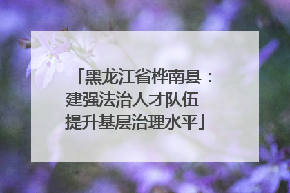 黑龙江省桦南县：建强法治人才队伍 提升基层治理水平