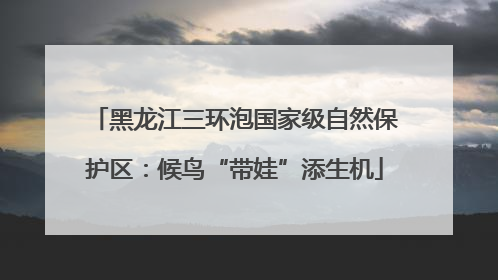 黑龙江三环泡国家级自然保护区：候鸟“带娃”添生机