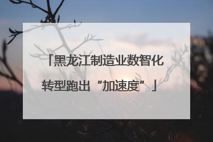 黑龙江制造业数智化转型跑出“加速度”