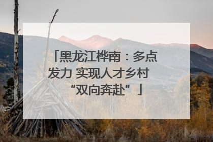 黑龙江桦南：多点发力 实现人才乡村“双向奔赴”