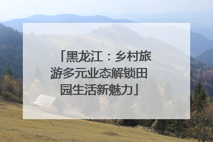 黑龙江：乡村旅游多元业态解锁田园生活新魅力