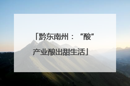 黔东南州：“酸”产业酿出甜生活