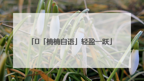 ﻿「楠楠自语」轻盈一跃