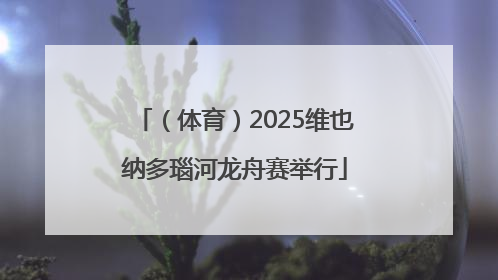 （体育）2025维也纳多瑙河龙舟赛举行