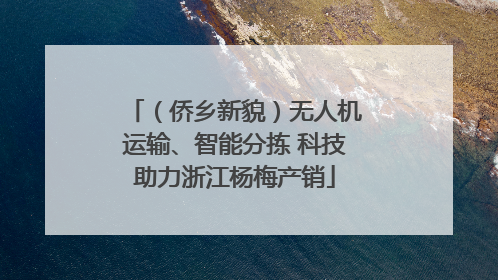 （侨乡新貌）无人机运输、智能分拣 科技助力浙江杨梅产销