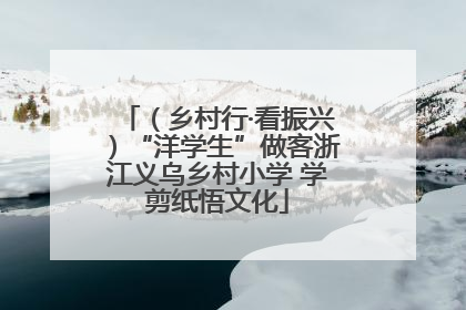 （乡村行·看振兴）“洋学生”做客浙江义乌乡村小学 学剪纸悟文化