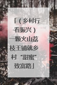 （乡村行·看振兴）一颗火山荔枝王铺就乡村“甜蜜”致富路