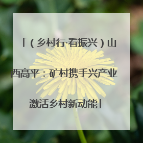 （乡村行·看振兴）山西高平：矿村携手兴产业 激活乡村新动能