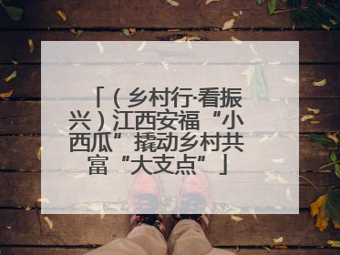 （乡村行·看振兴）江西安福“小西瓜”撬动乡村共富“大支点”