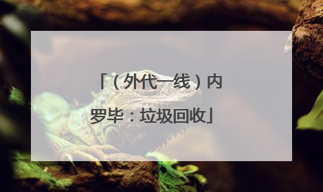 （外代一线）内罗毕：垃圾回收