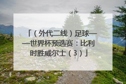 （外代二线）足球——世界杯预选赛：比利时胜威尔士（3）